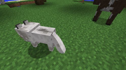Thuần phục mèo rừng trong game Minecraft bằng cách nào?
